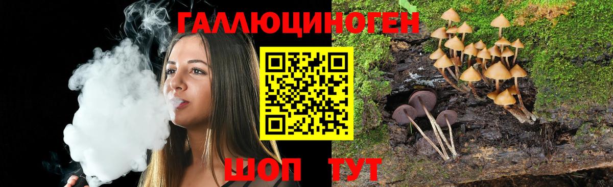 Псилоцибиновые грибы Magic Shrooms Урус-Мартан