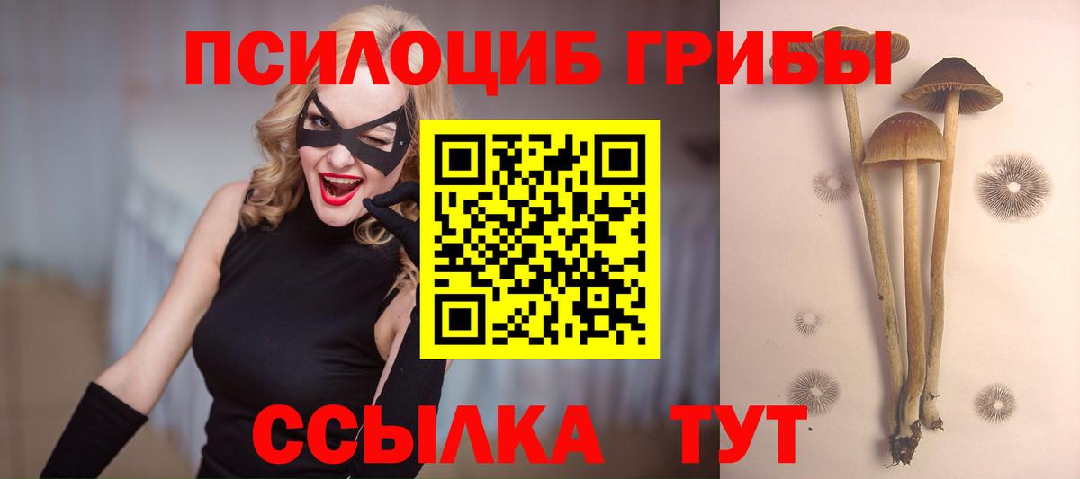 Урус-Мартан  Псилоцибиновые грибы ЛСД  Вход с VPN 